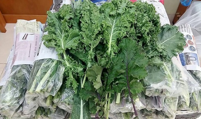 Cải xoăn cầu vồng 90.000/kg vẫn hút khách, khan hàng