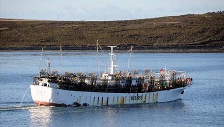 10 thuyền viên Việt Nam 'rơi' xuống biển Nhật Bản