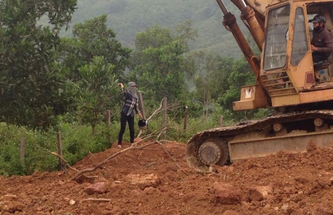 Cô hiệu trưởng ném đá, phá tài sản của doanh nghiệp