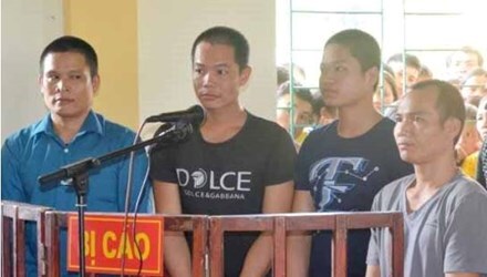 Triệt hạ nhiều cây sa mu dầu quý hiếm, nhóm lâm tặc lãnh 19 năm tù