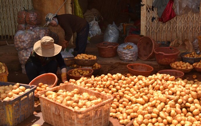 Đà Lạt: Đóng chốt 24/24 chặn khoai tây TQ vào chợ nông sản