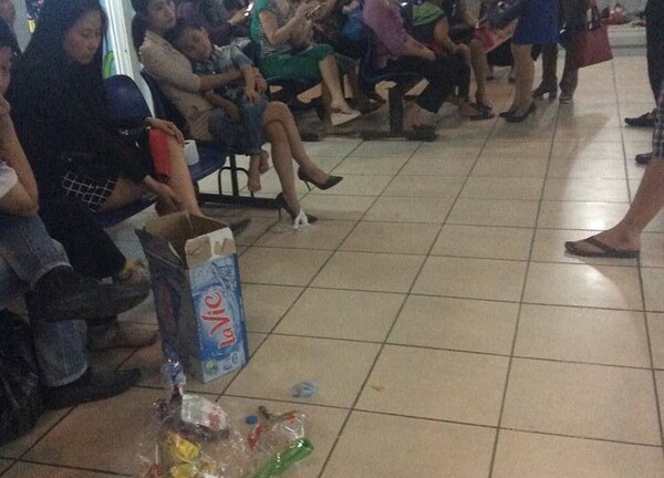 Đùa với ong, 51 học sinh ở Hà Nội bị đốt phải nhập viện