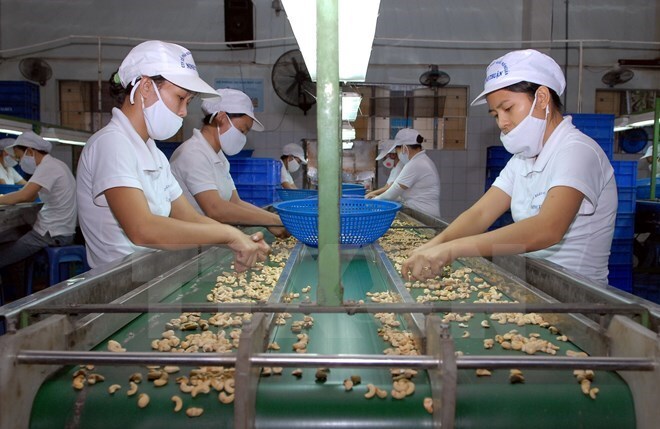 Việt Nam - Italia hợp tác trong lĩnh vực hải quan