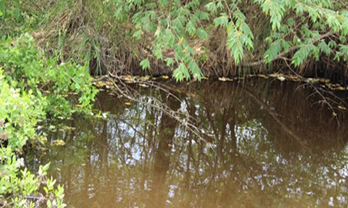 Mâu thuẫn với mẹ chồng, nàng dâu sát hại cháu 4 tuổi