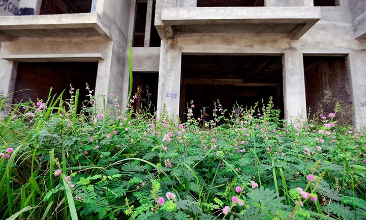  Những khu đô thị nghìn tỷ mọc rêu vắng bóng người
