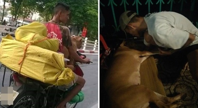 Chàng trai sẵn sàng bán nhà để cứu chó cưng khiến dân mạng xôn xao