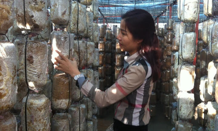 Nữ tỷ phú 8X nói gì khi biết mình bị khởi tố
