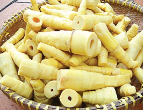 4 cách nhận biết măng tươi tự nhiên và măng ngâm hóa chất