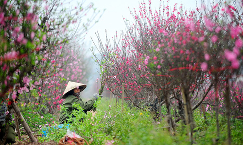 Người lao động được nghỉ 22 ngày lễ, Tết trong năm 2016
