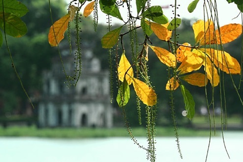 Dự báo thời tiết ngày mai 18/11: Cả nước ngày nắng