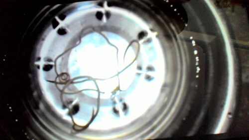 Thông tin mỳ Kokomi có dị vật giống giun sán: Kết luận của cơ quan chức năng