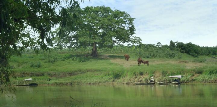 Cuộc đời của Yến: Điểm sáng tiếp theo của phim Việt?