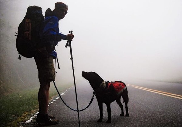 Chú chó dẫn chủ nhân bị mù đi phượt khắp thế giới