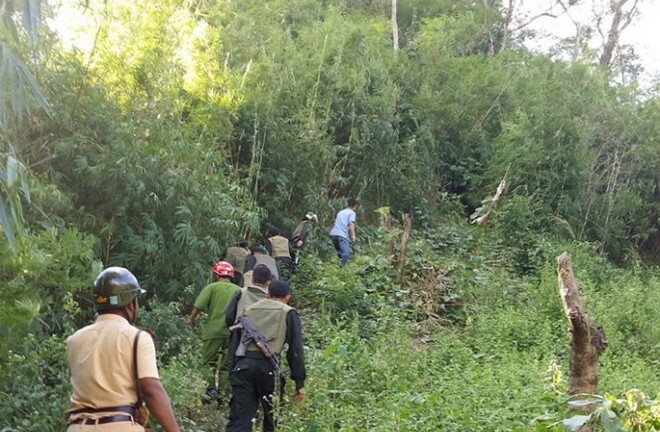 Cuộc trốn chạy trong rừng của nhóm cướp taxi ở Lâm Đồng