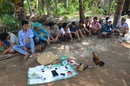 Bắt quả tang 15 người đá gà ăn tiền trong dịp nghỉ lễ 1/5