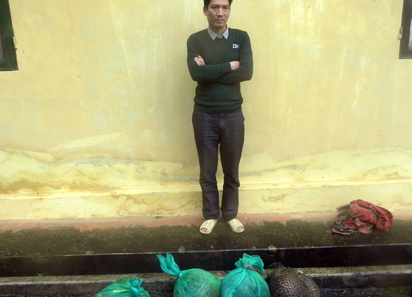 Bắt giữ vụ vận chuyển 4 cá thể tê tê qua biên giới phía Bắc