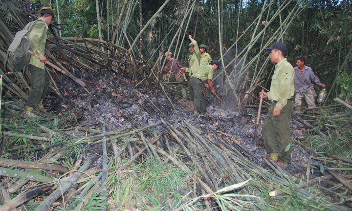 Nghệ An: Cháy lớn tại Vườn Quốc gia Pù Mát