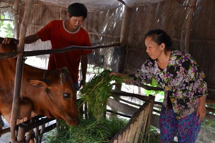 Quyết định 15/2013/QĐ-TTg của Thủ tướng Chính phủ