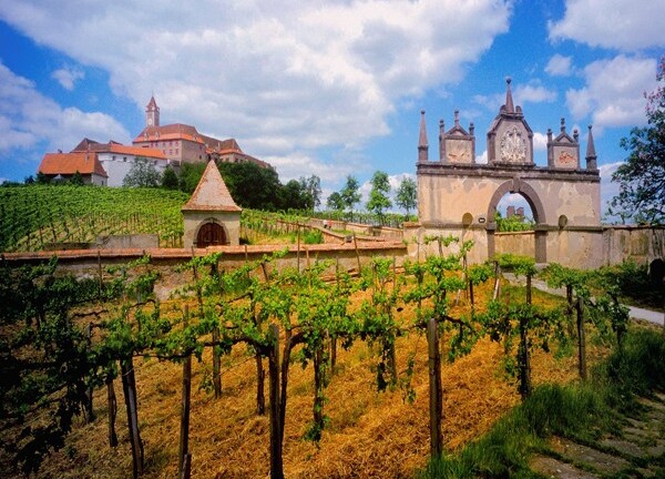 10 lĩnh vực đầu tư khiến giới tỷ phú ghê tay