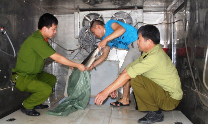 Bi kịch mang tên: Cá tầm nội - ngoại