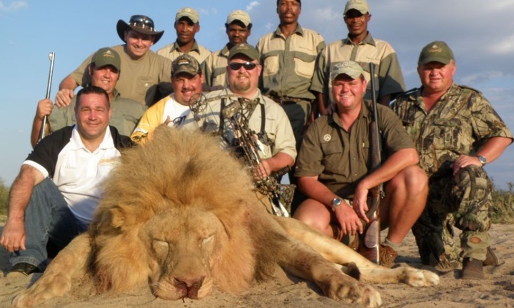 Sự thật đau lòng tại những khu bảo tồn sư tử ở Nam Phi