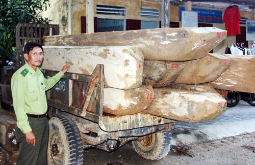 Bắt xe công nông chở đầy gỗ không có chủ