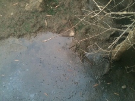 Dân kêu trời vì phân lợn chảy khắp xóm