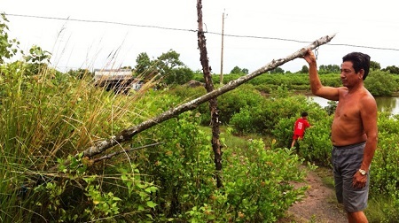 Điện giật làm 1 người chết, 3 người bị thương
