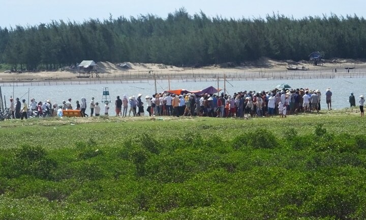 Sông Yên “dậy sóng” vì…ngao