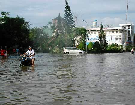 Ngành khí tượng thủy văn bác tin dự báo bão số 8 sai