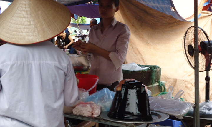 Khi thạch đen là mầm bệnh