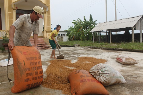 Nghệ An: Ngổn ngang sau bão lũ