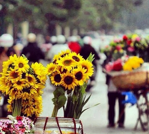 Ra mắt dự án “Hà Nội đẹp và chưa đẹp”