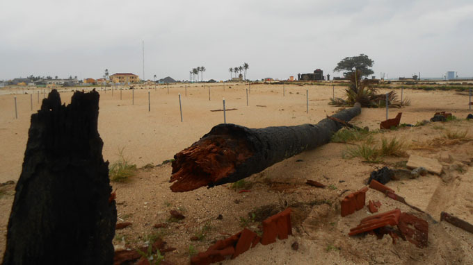 Chưa vào, bão số 11 đã đánh sập cây cối, nhà cửa