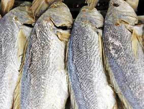 Hải quan An Giang thắng kiện vụ xử lý cá sửu