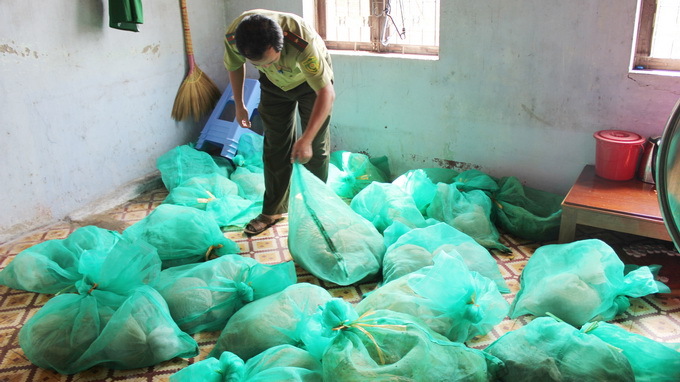 Bắt giữ xe cứu thương chở 49 con tê tê