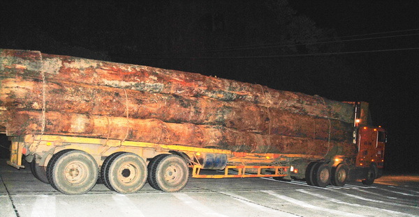 Xe  chở gỗ quá khổ tàn phá đường Hồ Chí Minh