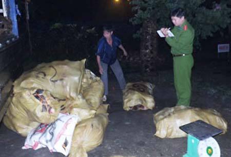 Bắt giữ gần 800kg chân, mỡ, da trâu không rõ nguồn gốc