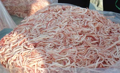 Thu giữ gần 1 tấn mực khô giả