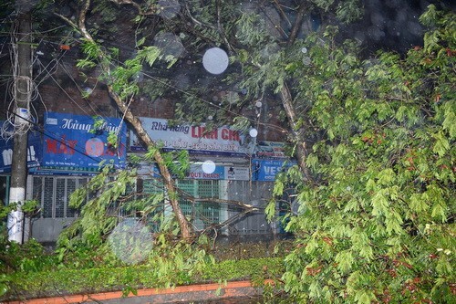 Dân mạng thức trắng đêm dõi theo siêu bão Haiyan