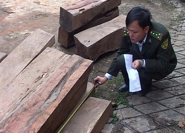 Bắt giữ 2 vụ buôn gỗ lậu quy mô lớn 