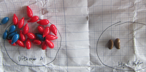 Nhân viên y tế “nhầm lẫn” giữa thuốc và hạt … đậu leo?