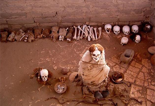 Kinh dị nghĩa địa xác ướp cười ngoác miệng