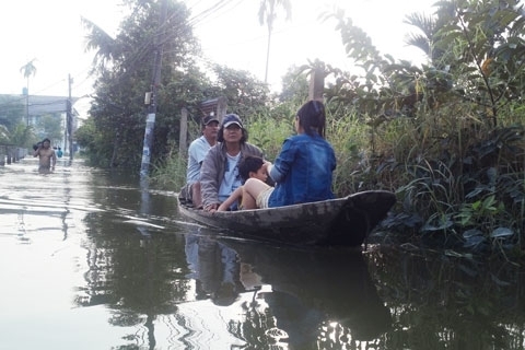 Clip: Dân Sài Gòn chèo ghe, giăng lưới bắt cá giữa phố