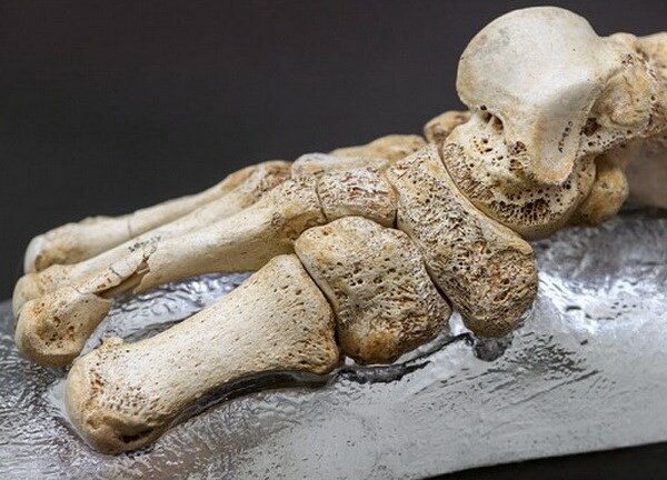 Giải mã ADN cổ xưa nhất của người 400.000 năm trước