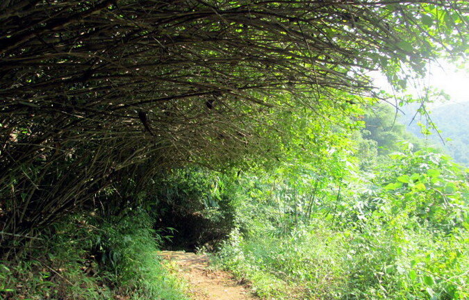 Kỳ thú tiên nữ, tiên ông nơi động Tiên Phi