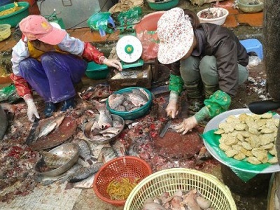 Kinh hãi cá, gà làm thịt ở chợ