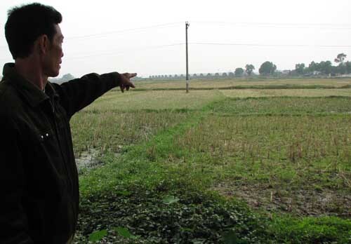 Rúng động 20 trai làng đánh một thanh niên đến chết