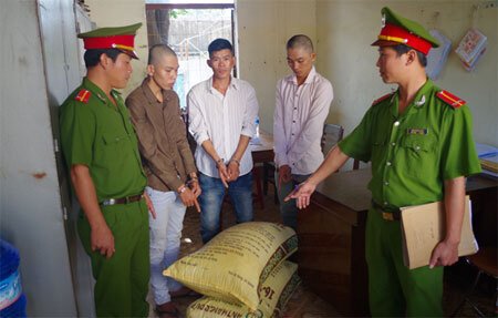 Bắt nhóm chuyên trộm cà phê