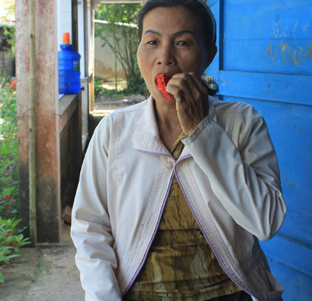 Người phụ nữ 7 năm ăn hoa vạn thọ thay cơm sau giấc mơ kì lạ